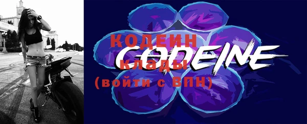хмурый Заводоуковск