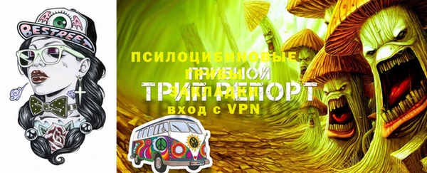 хмурый Заводоуковск