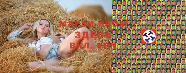 хмурый Заводоуковск
