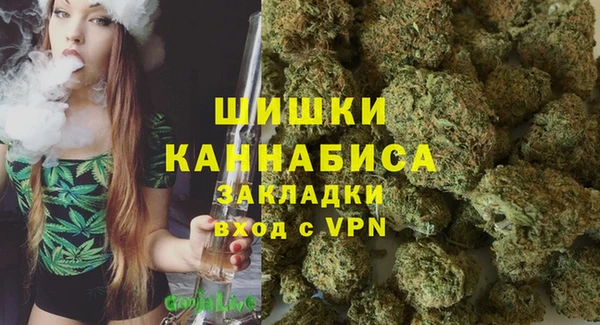 хмурый Заводоуковск