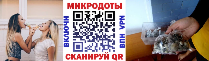 Купить где  Ворсма  Псилоцибиновые грибы Psilocybe 